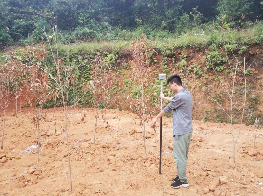土地规划部项目纪实丨尊龙凯时人，，，，，，助力荒地变桑田！