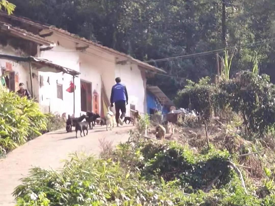 阳春房地一体项目纪实丨无悔青春多砥砺，，，，，最是奋斗动人心
