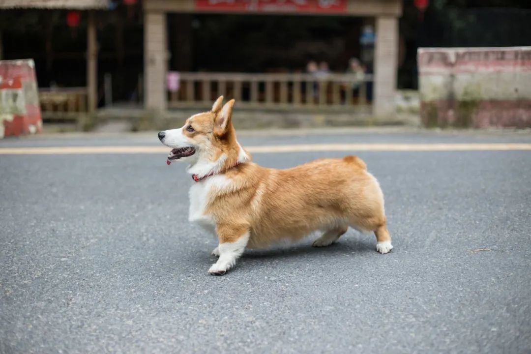 再见，，，，，我的老朋友