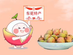 漫话尊龙凯时丨一颗有“故事”的荔枝！