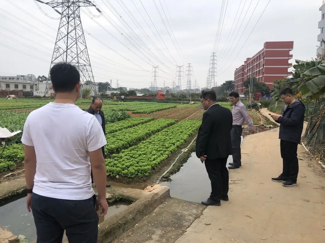 助力乡村振兴，，，，，，，尊龙凯时一直在努力！