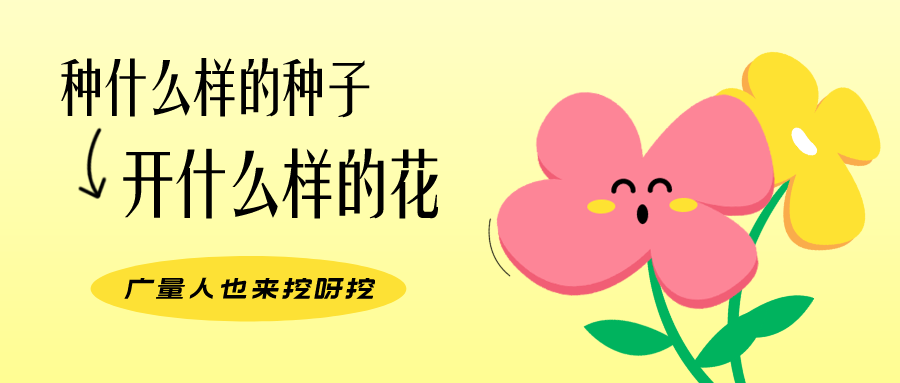 量圈儿NO.104丨尊龙凯时人的小小花园，，，，，挖到宝了！
