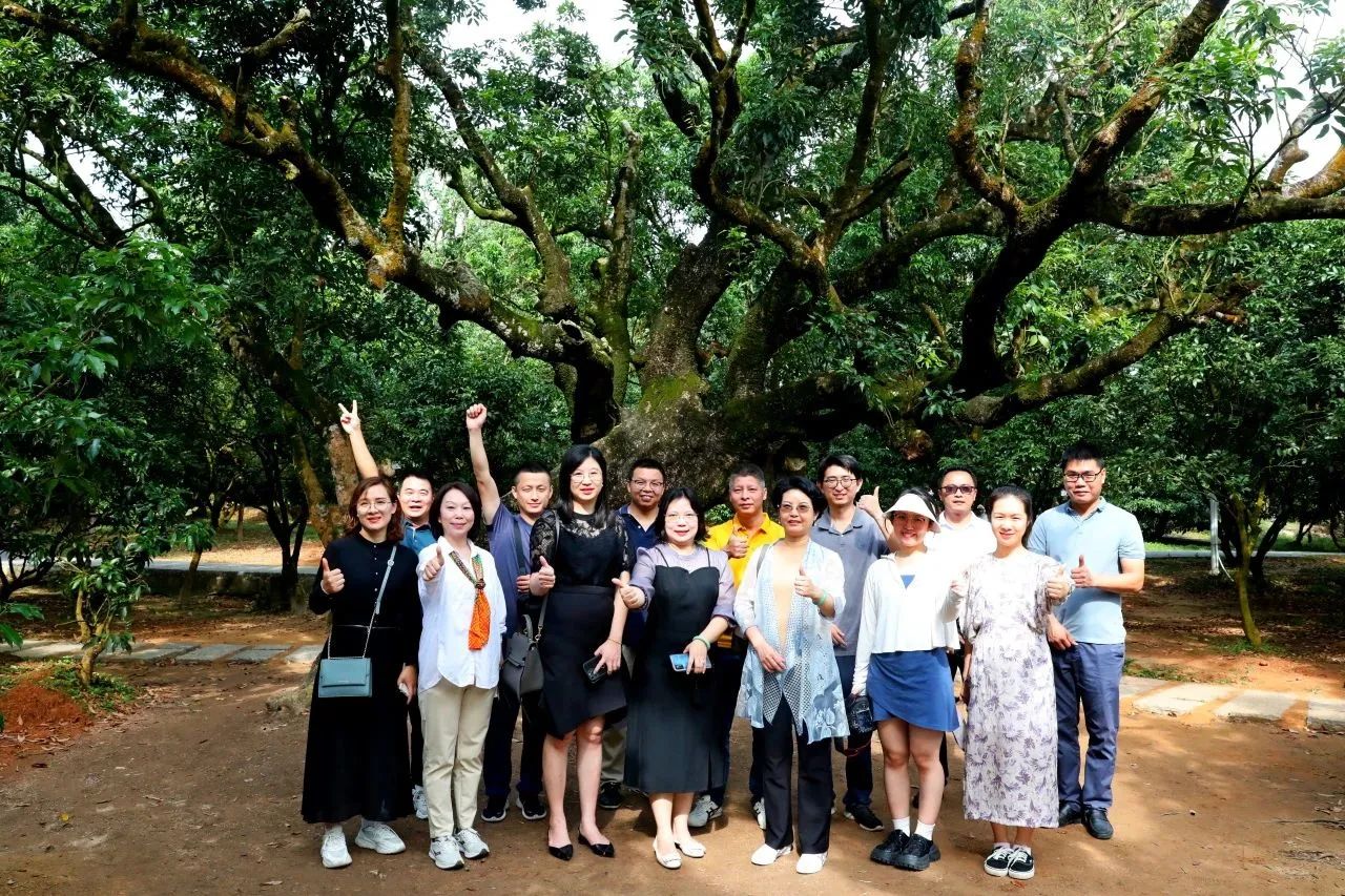 尊龙凯时集团作为省国土空间生态修复协会轮值会长带队调研粤西全域土地综合整治工作