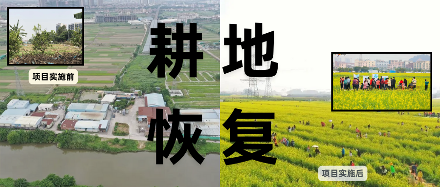 耕地保唬；；；；；び刖梅⒄构踩凇甘泻窠终蛩谏缜读继锵钅扛鼗指从氤窍缛诤系拇葱率导